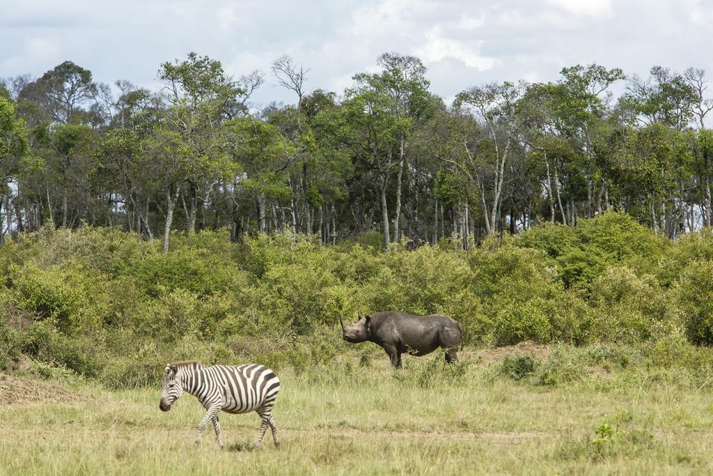 Mara Engai Lodge Lolgorien Exteriér fotografie