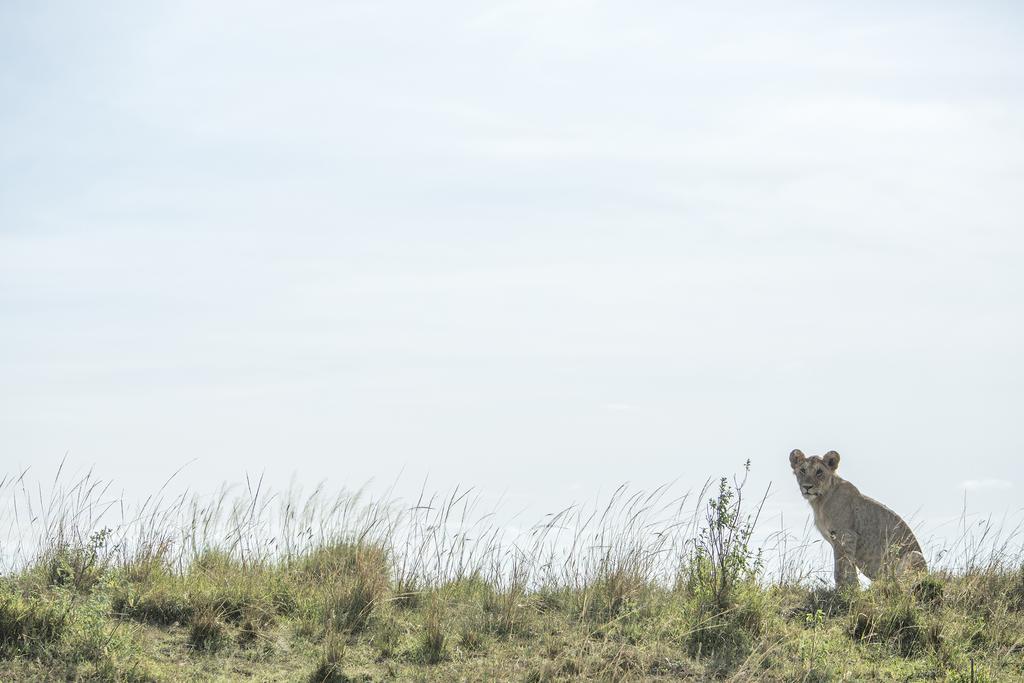 Mara Engai Lodge Lolgorien Exteriér fotografie