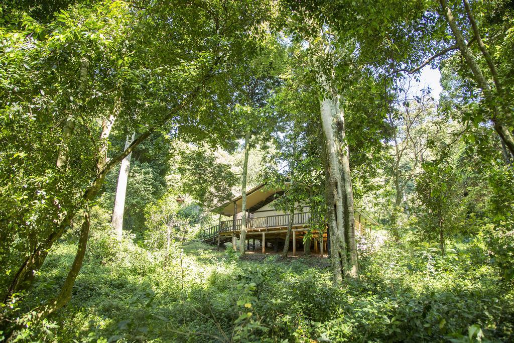Mara Engai Lodge Lolgorien Exteriér fotografie